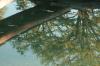 <img100*0:stuff/z/73640/reflections%2520reference/i1257803961_14.jpg>