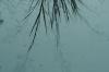 <img100*0:stuff/z/73640/reflections%2520reference/i1257803961_17.jpg>