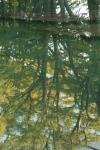 <img100*0:stuff/z/73640/reflections%2520reference/i1257803961_18.jpg>
