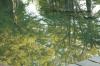 <img100*0:stuff/z/73640/reflections%2520reference/i1257803961_19.jpg>