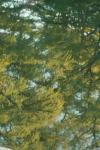 <img100*0:stuff/z/73640/reflections%2520reference/i1257803962_26.jpg>