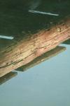 <img100*0:stuff/z/73640/reflections%2520reference/i1257803962_27.jpg>