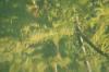 <img100*0:stuff/z/73640/reflections%2520reference/i1257803962_28.jpg>