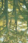 <img100*0:stuff/z/73640/reflections%2520reference/i1257803963_31.jpg>