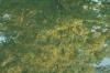 <img100*0:stuff/z/73640/reflections%2520reference/i1257803963_35.jpg>