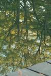 <img100*0:stuff/z/73640/reflections%2520reference/i1257803963_38.jpg>