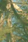 <img100*0:stuff/z/73640/reflections%2520reference/i1257804212_4.jpg>