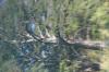 <img100*0:stuff/z/73640/reflections%2520reference/i1263346918_1.jpg>