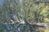 <img100*0:stuff/z/73640/reflections%2520reference/i1263346918_2.jpg>