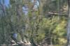 <img100*0:stuff/z/73640/reflections%2520reference/i1263346919_3.jpg>
