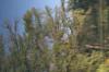 <img100*0:stuff/z/73640/reflections%2520reference/i1263346919_4.jpg>