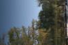 <img100*0:stuff/z/73640/reflections%2520reference/i1263346919_5.jpg>