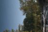 <img100*0:stuff/z/73640/reflections%2520reference/i1263346919_6.jpg>