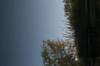 <img100*0:stuff/z/73640/reflections%2520reference/i1263346919_7.jpg>