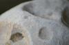 <img100*0:stuff/z/73640/rock%2520reference/i1262762033_1.jpg>