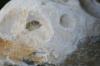 <img100*0:stuff/z/73640/rock%2520reference/i1262762033_5.jpg>