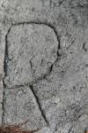 <img100*0:stuff/z/73640/rock%2520reference/i1262762034_16.jpg>