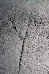 <img100*0:stuff/z/73640/rock%2520reference/i1262762034_19.jpg>