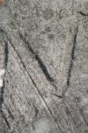 <img100*0:stuff/z/73640/rock%2520reference/i1262762034_20.jpg>