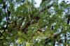 <img100*0:stuff/z/73640/scenery%2520reference/i1263265478_6.jpg>