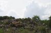 <img100*0:stuff/z/73640/scenery%2520reference/i1263265479_13.jpg>