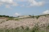 <img100*0:stuff/z/73640/scenery%2520reference/i1263265479_17.jpg>