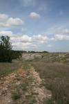 <img100*0:stuff/z/73640/scenery%2520reference/i1263265479_19.jpg>