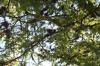 <img100*0:stuff/z/73640/scenery%2520reference/i1263265479_26.jpg>