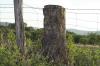 <img100*0:stuff/z/73640/scenery%2520reference/i1263268421_2.jpg>