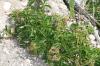 <img100*0:stuff/z/73640/scenery%2520reference/i1263268421_3.jpg>