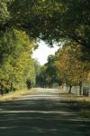 <img100*0:stuff/z/73640/scenery%2520reference/i1263268421_5.jpg>