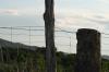<img100*0:stuff/z/73640/scenery%2520reference/i1263268421_6.jpg>