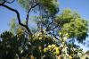 <img100*0:stuff/z/73640/scenery%2520reference/i1263268421_8.jpg>