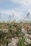 <img100*0:stuff/z/73640/scenery%2520reference/i1263268422_10.jpg>
