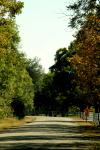 <img100*0:stuff/z/73640/scenery%2520reference/i1263268422_13.jpg>