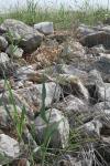 <img100*0:stuff/z/73640/scenery%2520reference/i1263268422_14.jpg>