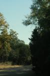 <img100*0:stuff/z/73640/scenery%2520reference/i1263268422_16.jpg>