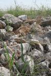 <img100*0:stuff/z/73640/scenery%2520reference/i1263268422_17.jpg>