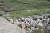 <img100*0:stuff/z/73640/scenery%2520reference/i1263268422_18.jpg>