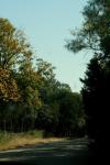 <img100*0:stuff/z/73640/scenery%2520reference/i1263268422_19.jpg>