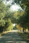 <img100*0:stuff/z/73640/scenery%2520reference/i1263268422_22.jpg>
