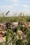 <img100*0:stuff/z/73640/scenery%2520reference/i1263268422_23.jpg>