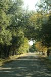 <img100*0:stuff/z/73640/scenery%2520reference/i1263268422_25.jpg>