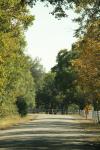 <img100*0:stuff/z/73640/scenery%2520reference/i1263268422_9.jpg>