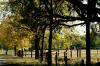 <img100*0:stuff/z/73640/scenery%2520reference/i1263270254_1.jpg>