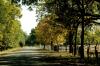 <img100*0:stuff/z/73640/scenery%2520reference/i1263270255_2.jpg>