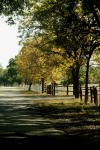 <img100*0:stuff/z/73640/scenery%2520reference/i1263270255_6.jpg>