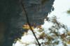 <img100*0:stuff/z/73640/scenery%2520reference/i1263270255_9.jpg>