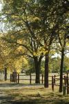 <img100*0:stuff/z/73640/scenery%2520reference/i1263270256_10.jpg>