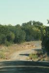 <img100*0:stuff/z/73640/scenery%2520reference/i1263270256_14.jpg>